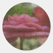 Pegatina rosado de la begonia