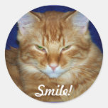Pegatina salvaje de la sonrisa del gato del Tabby 