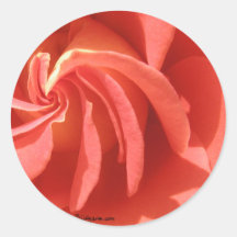 Pegatina subió remolino rosado del sello del sobre