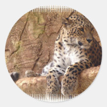 Pegatina vigilante del leopardo