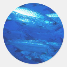 Pegatinas acuáticos