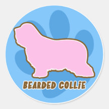 Pegatinas barbudos de moda del collie