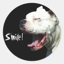 Pegatinas blancos sonrientes del perro del boxeado