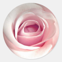 Pegatinas color de rosa rosados