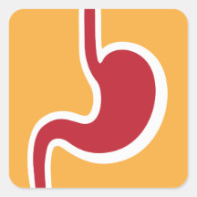 Pegatinas de la gastroenterología del gastroenteró