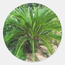 Pegatinas de la planta verde
