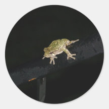 Pegatinas de la rana