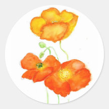 Pegatinas de las amapolas de Islandia