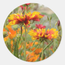 Pegatinas de los Wildflowers