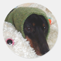 Pegatinas del Dachshund