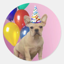 Pegatinas del dogo francés del feliz cumpleaños