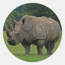 Pegatinas del Hippopotamus