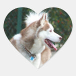 Pegatinas del husky siberiano