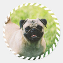 Pegatinas del perrito del barro amasado