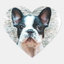 Pegatinas del perrito del dogo francés