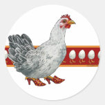 Pegatinas del pollo y del huevo