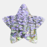 Pegatinas florecientes del Ajuga