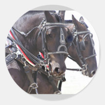 Pegatinas grandes de los caballos