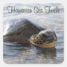 Pegatinas hawaianos de la tortuga de mar