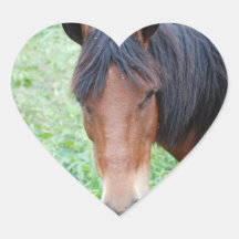 Pegatinas lindos de Paso Fino