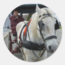 Pegatinas místicos del caballo