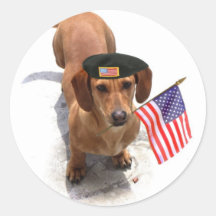 Pegatinas patrióticos del dachshund
