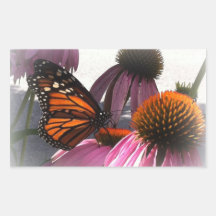 Pegatinas rectangulares - mariposa de monarca