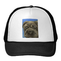 pei shar gorra