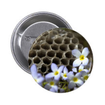 Peine y flores de la colmena de la abeja pin