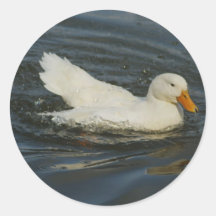Pekin II Etiqueta