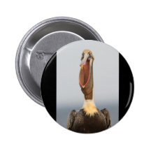 Pelícano que habla pins