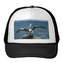 Pelícano - separe sus alas gorra