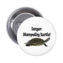 Peligro: ¡Tortuga de la precipitación! Pins