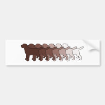 Pendiente de Labrador del chocolate Etiqueta De Parachoque