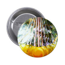 PÉNDULO DEL INVERNADERO PINS