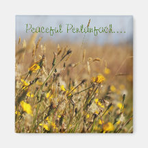 Penlanfach pacífico iman