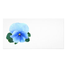 Pensamiento de los azules cielos tarjetas personales
