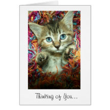 Pensamiento en usted gatito gris del Tabby de la t