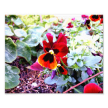 Pensamiento rojo y amarillo arte con fotos
