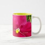 pensamiento rosado de la frambuesa a2 taza de café