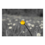 Pensamientos de la impresión de la primavera fotografias