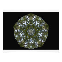 Pentagram del toldo fotos