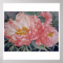 Peonies coralinos del encanto impresiones
