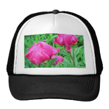 Peonies de la mañana gorras