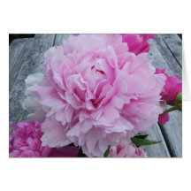 Peonies rosados/Peony Notecard Tarjetas