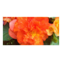Peony anaranjado tarjeta fotográfica personalizada