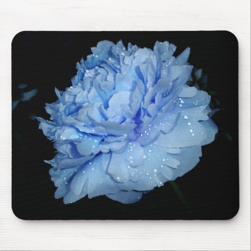 Peony azul después de Rainshower Alfombrilla De Raton
