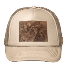Peony en sepia gorra