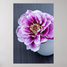 Peony gigante por las ilustraciones de Les Impresiones