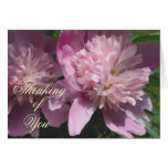 Peony que piensa en usted tarjeta de nota